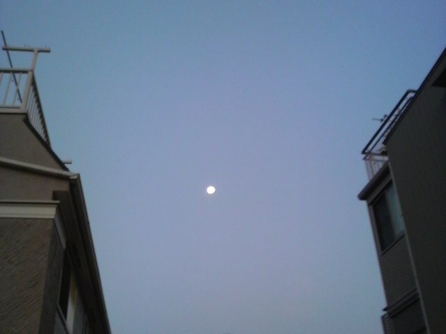 夜明けの月