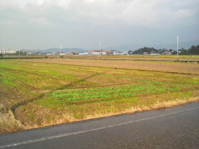 故郷　福井の田園風景