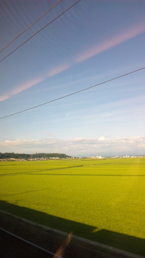 福井の夏の田園風景